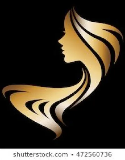 Rien ne t'efface, je pense à toi : Qui est l'interprète de ces paroles ?