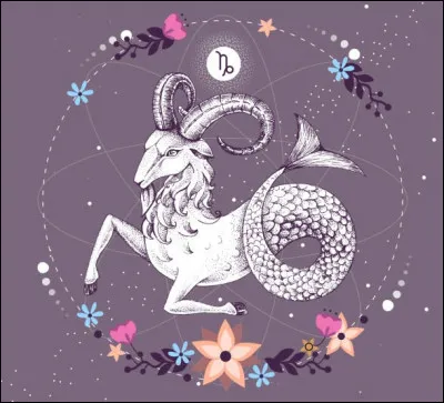 En astrologie, à quel élément est associé le signe astrologique d'une personne née le 25 décembre ?