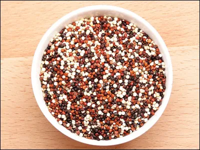 Le quinoa, originaire d'Amérique latine, est aussi appelé...
