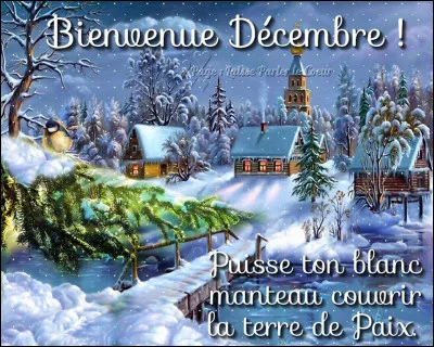 Bonjour décembre, premier mois de l'hiver dans l'hémisphère nord !
Parmi les trois définitions de l'hiver, laquelle commence le 1er décembre ?