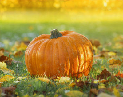 À quoi vous fait penser cet aliment ?
