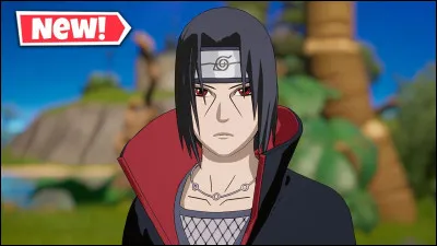 Qui est le frère de Sasuke ?