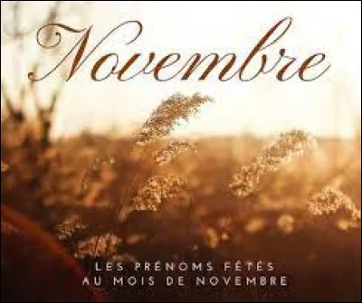 Combien y a-t-il de jours fériés en novembre ?