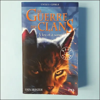 Dans le cycle 1, tu préfères :