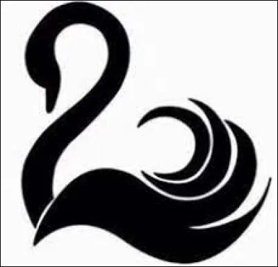 Dans quelle ville se rend Sophie pour rejoindre le Cygne Noir ?