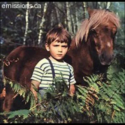 Poly : On se souvient de l'histoire de Poly racontée par Cécile Aubry, commençant par la rencontre entre un petit garçon dont les parents sont fermiers et Poly, un petit poney shetland maltraité. Comment se prénommait l'enfant qui deviendra l'ami de Poly ?