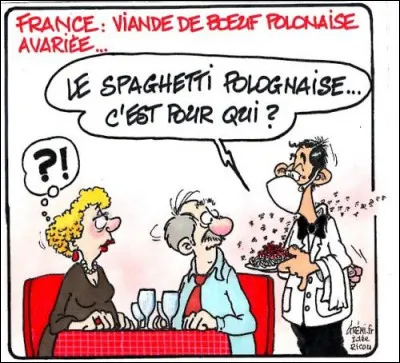 Polonais : quelle expression correspond aux Polonais ?