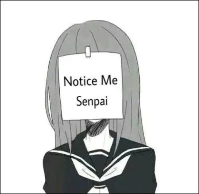 Quelle couleur est la plus présente sur cette image ?