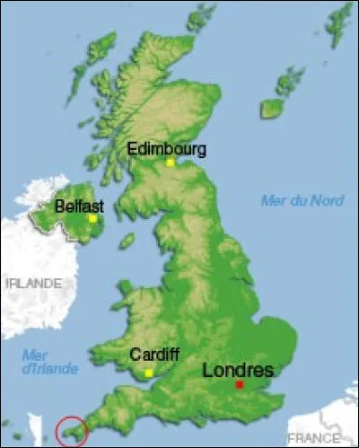 Au large de la Manche sur une île bien connue, son nom vernaculaire est : "the dandelion".
Son nom commun en français est plutôt :