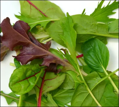 Origine du mesclun : des moines franciscains niçois faisaient don de différents plants de salades de leur potager aux pauvres.