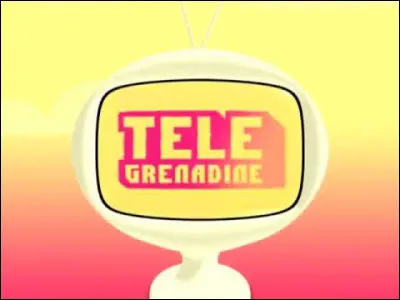 De 2007 à 2009, quel jour de la semaine "Télégrenadine" a-t-elle été diffusée  ?