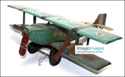 Arbre des régions chaudes, originaire d'Amérique du sud, il fournit un très beau bois !