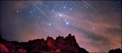 Combien de bras possède l'étoile de mer ?