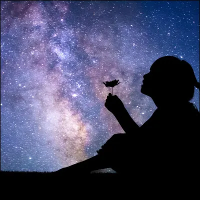 Quel nom Ronald Reagan a-t-il donné au projet de défense anti-missile, officiellement connu comme l'Initiative de défense stratégique ?