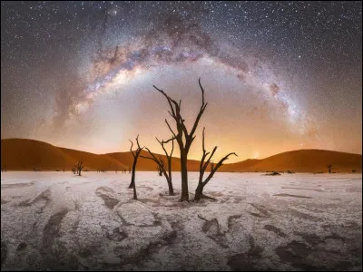 Où sont disposées les étoiles sur la tunique d'un général d'armée ?