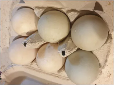 Qui a pondu ces ufs ? C'est...