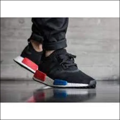 Quel est le nom de ce modèle ?