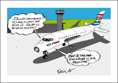 "Comme un avion sans aile" est une chanson interprétée par...