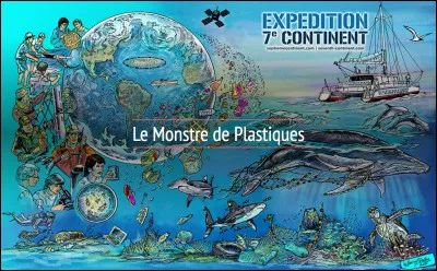Quel pays est le premier pollueur de l'océan Pacifique ? Les déchets plastiques forment ainsi le ''septième continent".