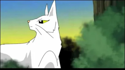 Qui est avec Cur de Lion pour emmener Nuage de Feu au Clan du Tonnerre ?