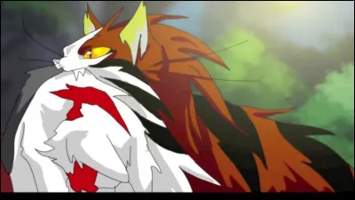 Pour quelle raison Nuage de Feu déteste-t-il Griffe de Tigre ?