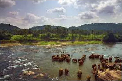 Quelles sont les trois couleurs du drapeau de la Sierra Leone ?