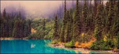 Quel est l'autre nom donné à la forêt boréale ?