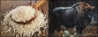 Et si je suis en Catalogne, comment puis-je rire ?