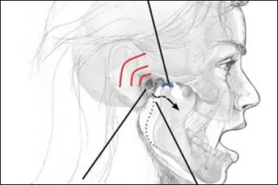 Mais si je veux me moquer en espagnol, que fais-je ?