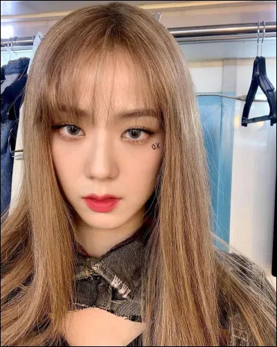 Dans ton groupe d'amis tu es plutôt...