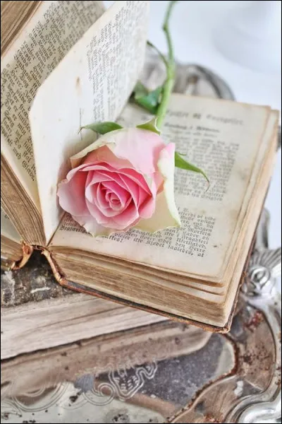 Ce professionnel a en charge la rédaction d'un ou plusieurs contenus pour des sites web. C'est...