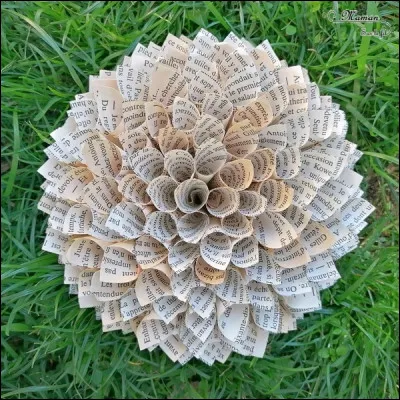 Ce professionnel est un spécialiste dans la recherche des illustrations et des images d'une publication. C'est ...