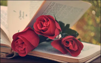 Ce professionnel s'occupe de la commande et de la vente de livres au public. C'est...