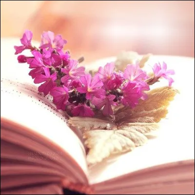 Ce professionnel est présent en entreprise ou en milieu scolaire. C'est lui qui alimente les bases de données, fait des recherches et communique l'information. C'est...