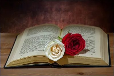 Ce professionnel chronique et juge des uvres littéraires tout en diffusant son avis sur les médias. C'est...