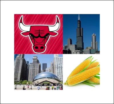 Quel est cet État des États-Unis ?