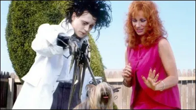 Quel est ce film de Tim Burton ?