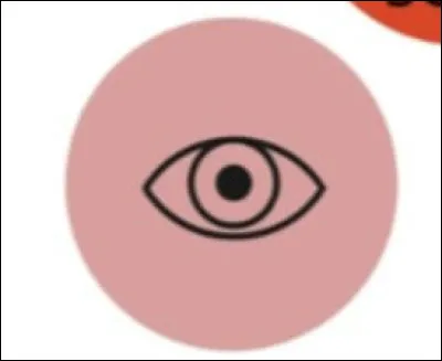 Quel sens convient à cet organe ?