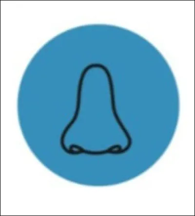 Quel sens convient à cet organe ?