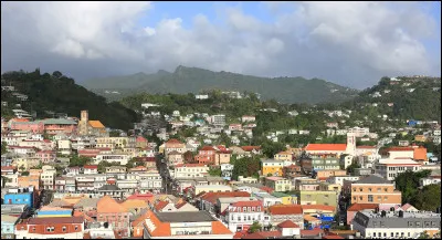 Quelle est la capitale en S de la Grenade, un État des Antilles ?