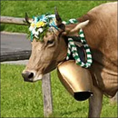 Comment s'appelle la cloche de vache en t&ocirc;le d�acier, de forme bomb&eacute;e et donnant un son grave, en Suisse ?