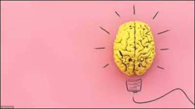 Comment appelle-t-on la mise en relation et l'analyse des informations au niveau du cerveau qui permet de percevoir son environnement ?