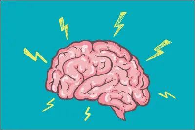 Si le cerveau élabore un message nerveux moteur à l'origine de la réponse motrice, où le message prendra-t-il naissance ?