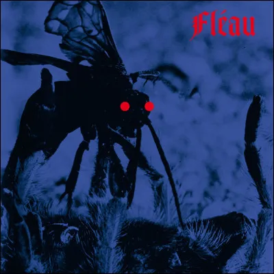 Quel est ton pire défaut ?