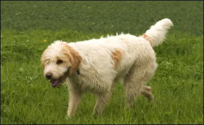 Quel film d'animation a été réalisé par Svend Methling, en 1946 ?