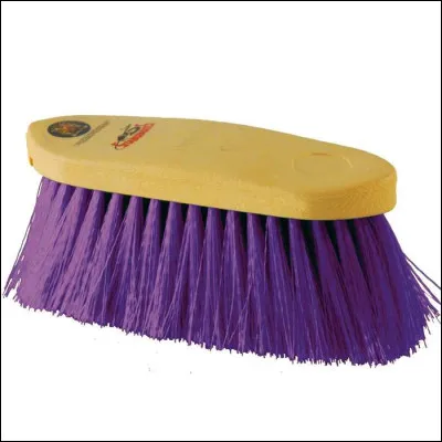 Quelle est cette brosse ?