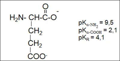 Après avoir représenté les domaines de prédominance des espèces acido-basiques de l'acide aminé ci-dessous, cochez les affirmations correctes.
