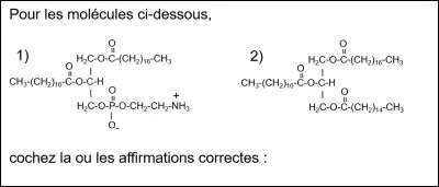 Veuillez choisir les réponses correctes.