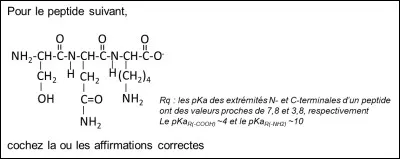 Veuillez choisir les réponses correctes.