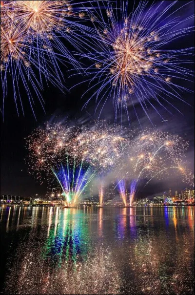 Comment se nomme la science des feux d'artifice ?